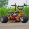 2024 (Platinum Edition) Mini Trike